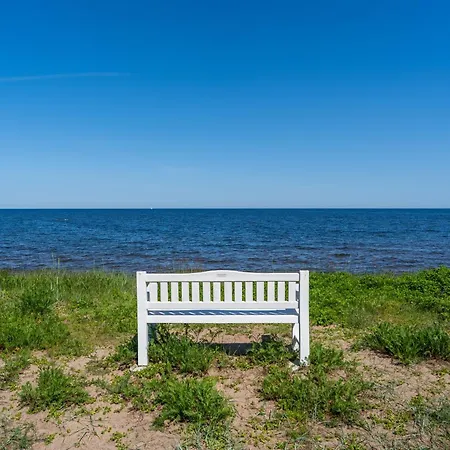 Laudamaja Vainupea
